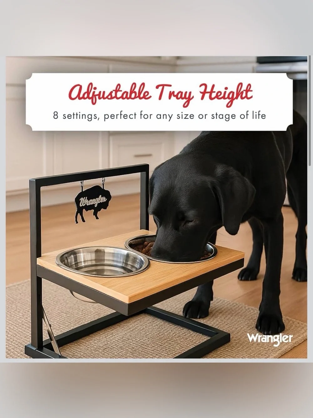 Wrangler Elevated Dog Bowl Set Feeder Stainless Steel Feeding Bowls for Cats OWR